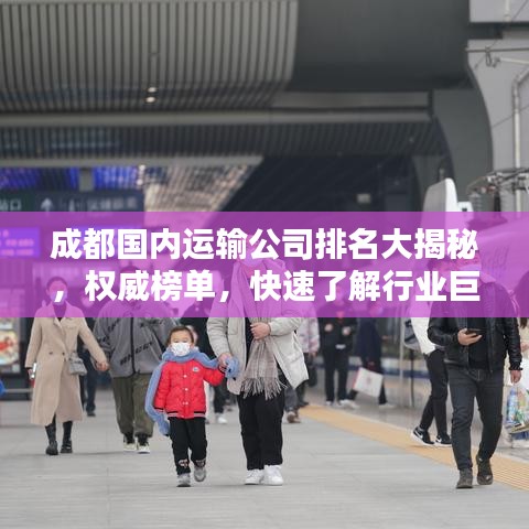 成都國內(nèi)運輸公司排名大揭秘，權(quán)威榜單，快速了解行業(yè)巨頭！