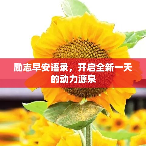 勵(lì)志早安語(yǔ)錄，開(kāi)啟全新一天的動(dòng)力源泉