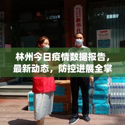 林州今日疫情數(shù)據(jù)報告，最新動態(tài)，防控進展全掌握