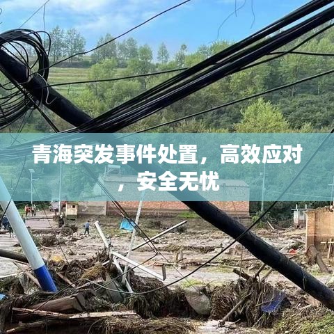 青海突發(fā)事件處置，高效應(yīng)對，安全無憂