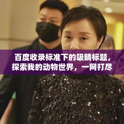 百度收錄標(biāo)準(zhǔn)下的吸睛標(biāo)題，探索我的動(dòng)物世界，一網(wǎng)打盡喜愛動(dòng)物！
