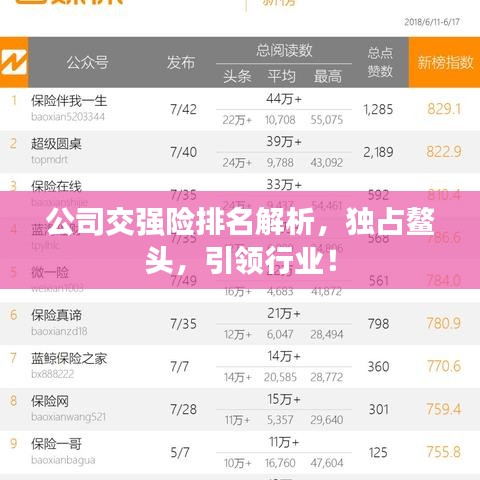 公司交強險排名解析，獨占鰲頭，引領(lǐng)行業(yè)！