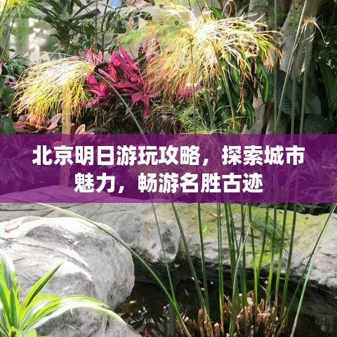北京明日游玩攻略，探索城市魅力，暢游名勝古跡