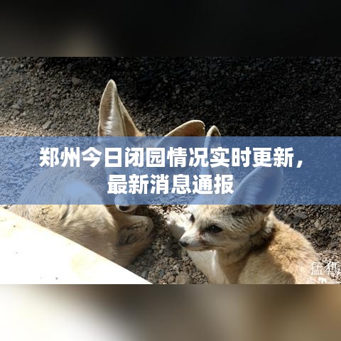 鄭州今日閉園情況實時更新，最新消息通報