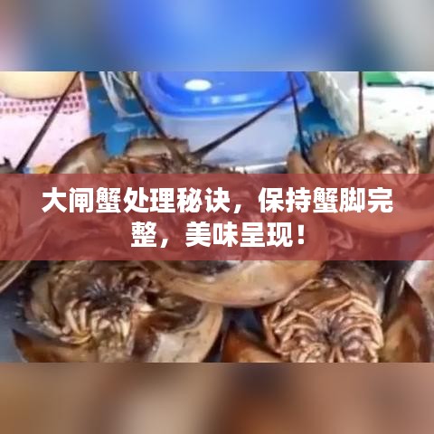 大閘蟹處理秘訣，保持蟹腳完整，美味呈現(xiàn)！