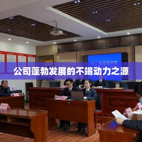 公司蓬勃發(fā)展的不竭動力之源