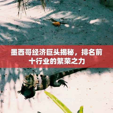 墨西哥經(jīng)濟(jì)巨頭揭秘，排名前十行業(yè)的繁榮之力