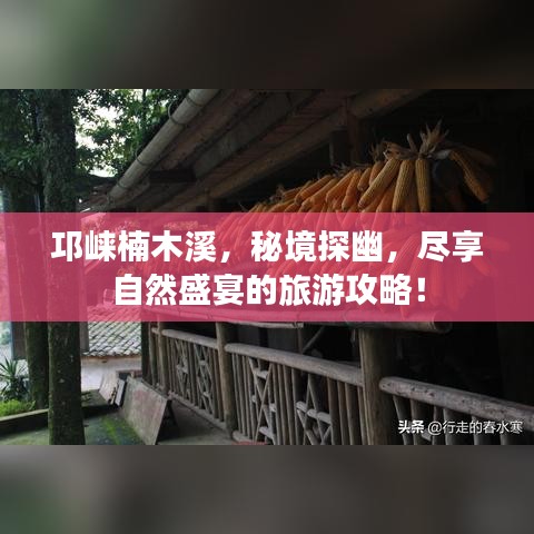 邛崍楠木溪，秘境探幽，盡享自然盛宴的旅游攻略！