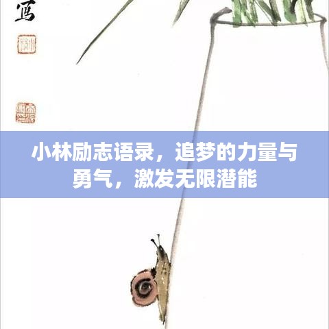 小林勵志語錄，追夢的力量與勇氣，激發(fā)無限潛能