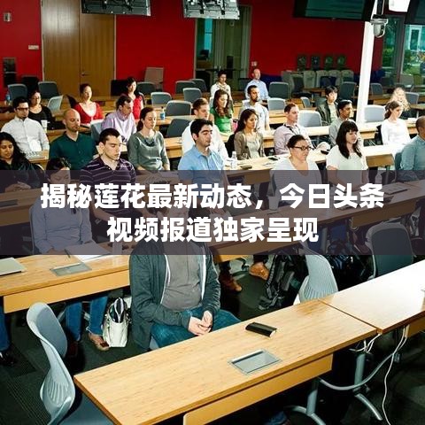 揭秘蓮花最新動(dòng)態(tài)，今日頭條視頻報(bào)道獨(dú)家呈現(xiàn)