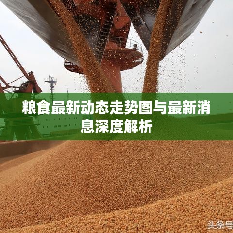 糧食最新動態(tài)走勢圖與最新消息深度解析