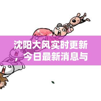 沈陽(yáng)大風(fēng)實(shí)時(shí)更新，今日最新消息與動(dòng)態(tài)
