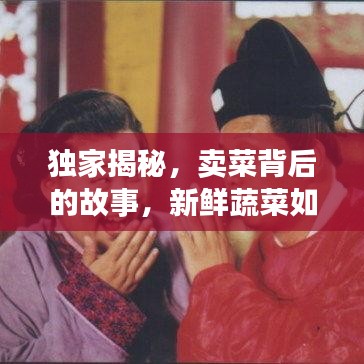 獨家揭秘，賣菜背后的故事，新鮮蔬菜如何走進千家萬戶？