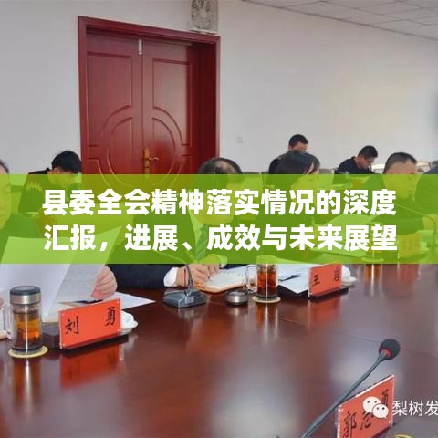 縣委全會(huì)精神落實(shí)情況的深度匯報(bào)，進(jìn)展、成效與未來(lái)展望