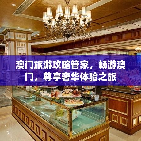 澳門旅游攻略管家，暢游澳門，尊享奢華體驗(yàn)之旅