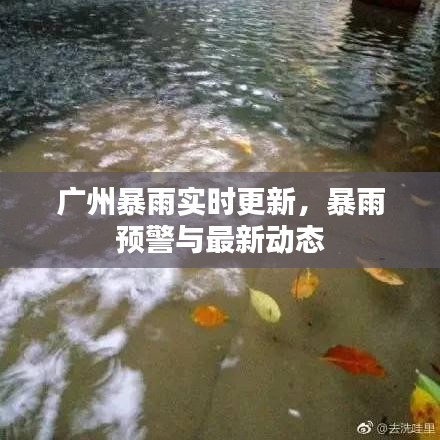 廣州暴雨實(shí)時更新，暴雨預(yù)警與最新動態(tài)