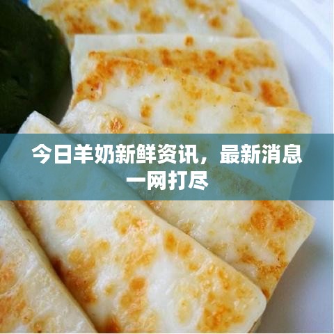 今日羊奶新鮮資訊，最新消息一網(wǎng)打盡