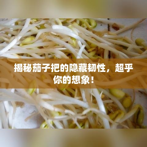 揭秘茄子把的隱藏韌性，超乎你的想象！