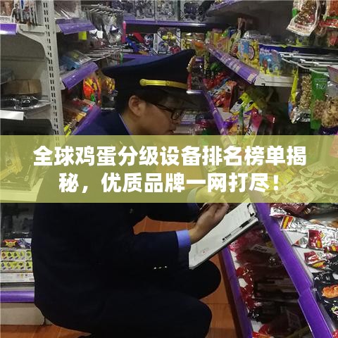 全球雞蛋分級設(shè)備排名榜單揭秘，優(yōu)質(zhì)品牌一網(wǎng)打盡！