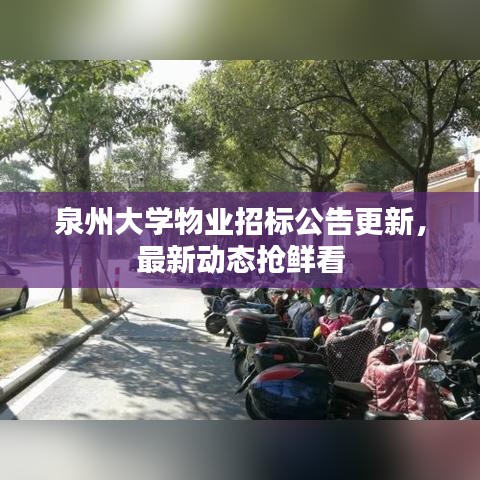 泉州大學(xué)物業(yè)招標(biāo)公告更新，最新動(dòng)態(tài)搶鮮看