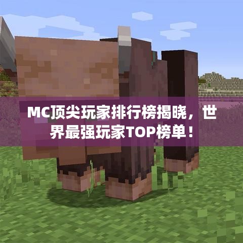 MC頂尖玩家排行榜揭曉，世界最強玩家TOP榜單！