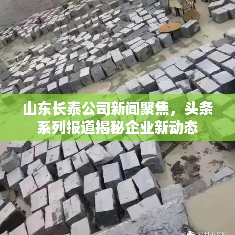 山東長泰公司新聞聚焦，頭條系列報道揭秘企業(yè)新動態(tài)