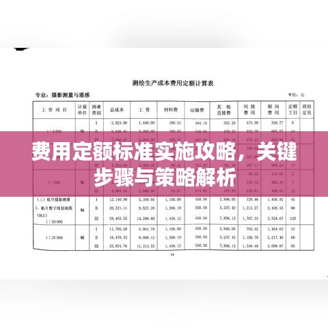 費(fèi)用定額標(biāo)準(zhǔn)實(shí)施攻略，關(guān)鍵步驟與策略解析