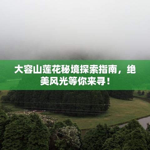 大容山蓮花秘境探索指南，絕美風(fēng)光等你來尋！