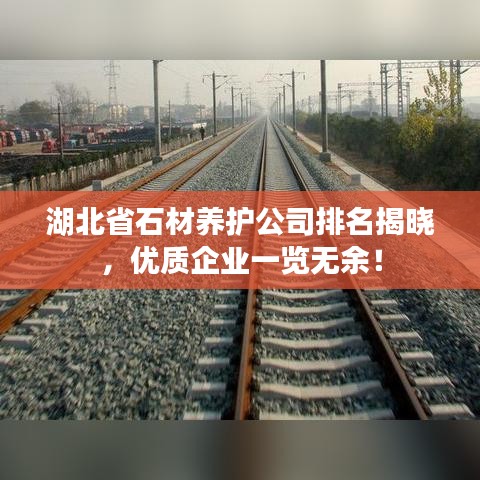 湖北省石材養(yǎng)護(hù)公司排名揭曉，優(yōu)質(zhì)企業(yè)一覽無(wú)余！