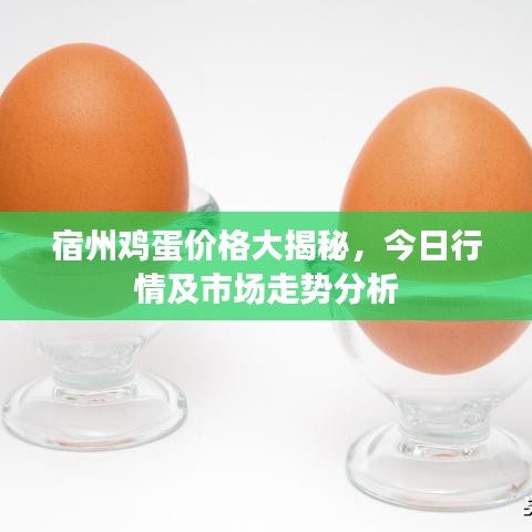 宿州雞蛋價(jià)格大揭秘，今日行情及市場走勢分析