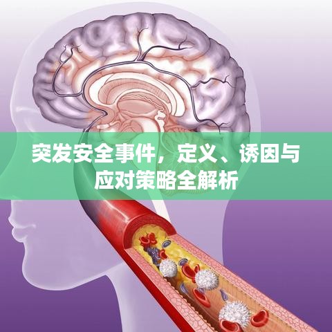 突發(fā)安全事件，定義、誘因與應(yīng)對策略全解析