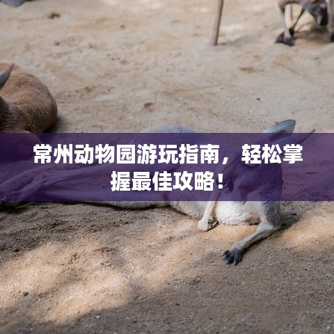 常州動物園游玩指南，輕松掌握最佳攻略！