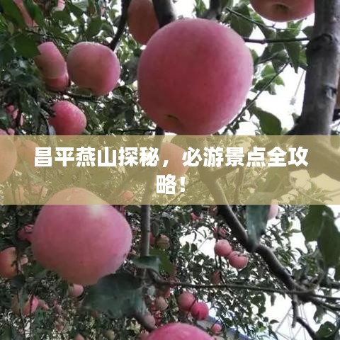 昌平燕山探秘，必游景點(diǎn)全攻略！