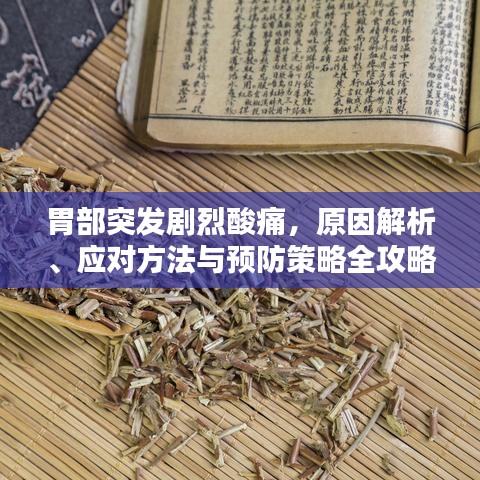 胃部突發(fā)劇烈酸痛，原因解析、應(yīng)對(duì)方法與預(yù)防策略全攻略