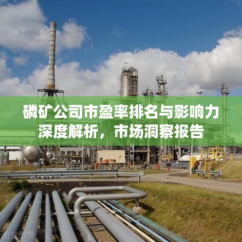 磷礦公司市盈率排名與影響力深度解析，市場洞察報告