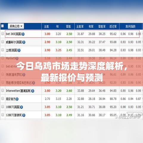 今日烏雞市場(chǎng)走勢(shì)深度解析，最新報(bào)價(jià)與預(yù)測(cè)