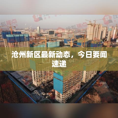 滄州新區(qū)最新動態(tài)，今日要聞速遞