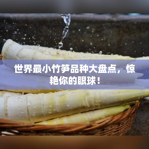 食淡衣粗 第2頁