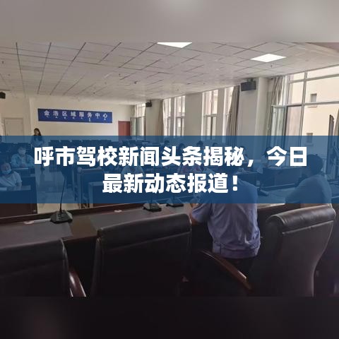 呼市駕校新聞?lì)^條揭秘，今日最新動(dòng)態(tài)報(bào)道！