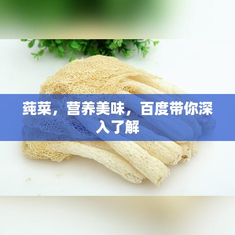 莼菜，營養(yǎng)美味，百度帶你深入了解