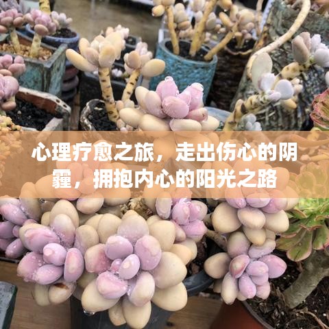 心理療愈之旅，走出傷心的陰霾，擁抱內(nèi)心的陽光之路