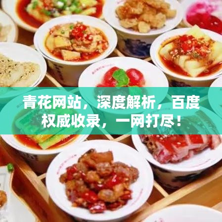 青花網(wǎng)站，深度解析，百度權(quán)威收錄，一網(wǎng)打盡！
