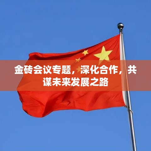金磚會(huì)議專題，深化合作，共謀未來(lái)發(fā)展之路