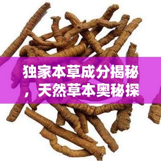 獨(dú)家本草成分揭秘，天然草本奧秘探尋