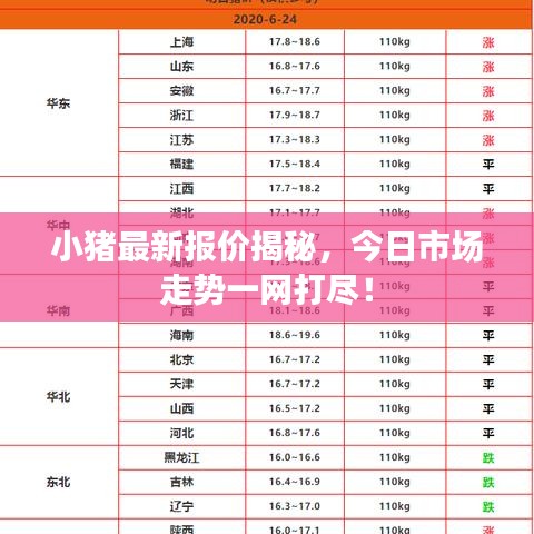 小豬最新報(bào)價(jià)揭秘，今日市場(chǎng)走勢(shì)一網(wǎng)打盡！