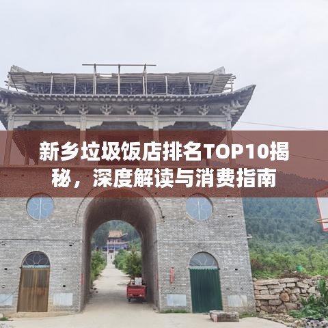 新鄉(xiāng)垃圾飯店排名TOP10揭秘，深度解讀與消費(fèi)指南
