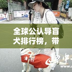 全球公認(rèn)導(dǎo)盲犬排行榜，帶你了解最信賴(lài)的盲犬品種！