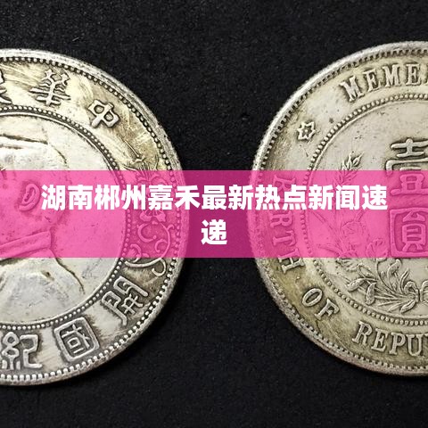 湖南郴州嘉禾最新熱點新聞速遞