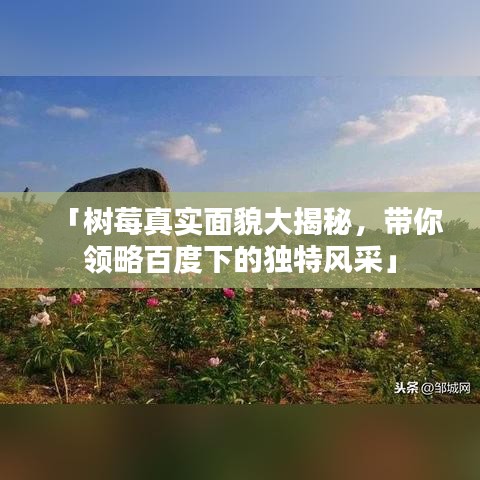 「樹莓真實面貌大揭秘，帶你領(lǐng)略百度下的獨特風采」
