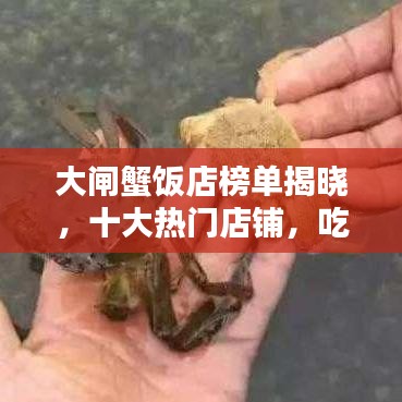 大閘蟹飯店榜單揭曉，十大熱門店鋪，吃貨必知！